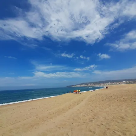 Figueira Dream פיגואיירה דה פוז